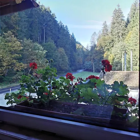 Pensiunea Valea Cetatii Guest house Risnov