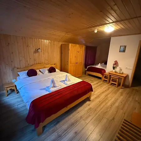 Guest house Pensiunea Valea Cetatii